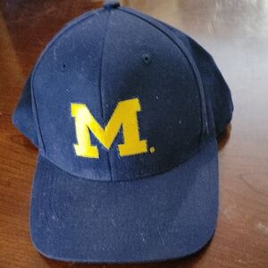 michigan wolverines Light Up Hat